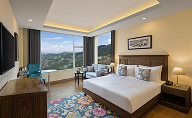 Premier Valley View Room