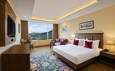 Premium Hill View Room