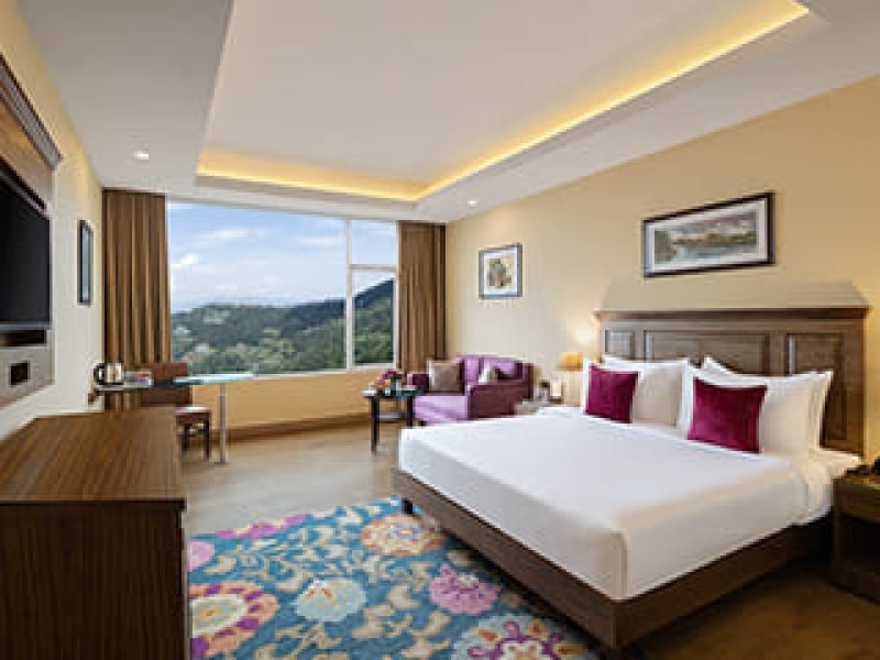 Premium Hill View Room